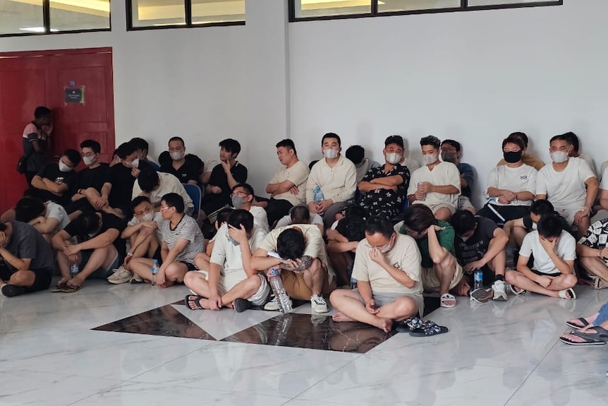 Polisi Timor Leste Gerebek Scam Center, Ratusan Warga China dan Indonesia Diamankan