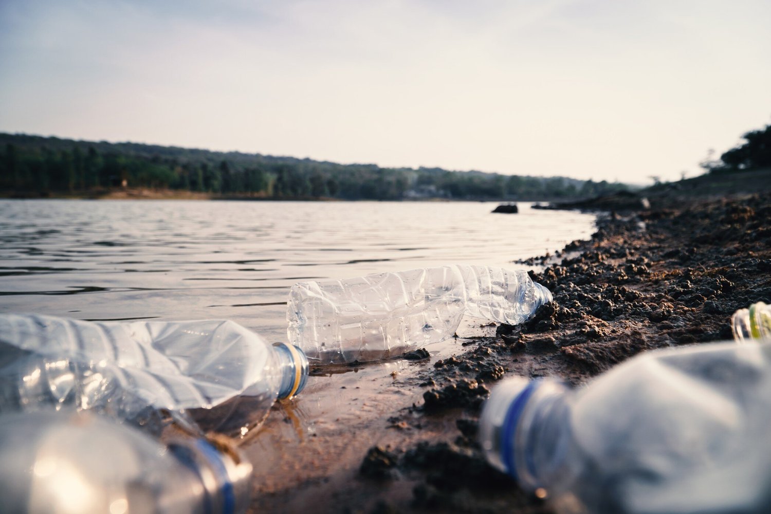 Studi Terbaru: Mikroplastik dalam Darah Dikaitkan dengan Risiko Serangan Jantung